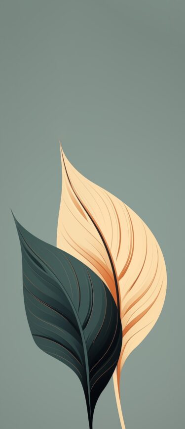 4K Mobile Wallpapers Free Download | 6066 | for Android & iPhone FF609