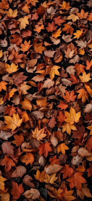 4K Mobile Wallpapers Free Download | 6111 | for Android & iPhone FF615