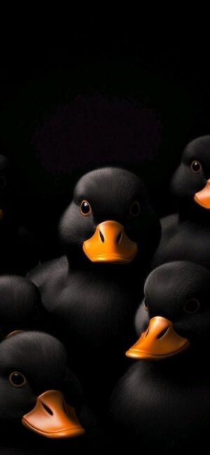 4K Mobile Wallpapers Free Download | 6179 | for Android & iPhone FF625