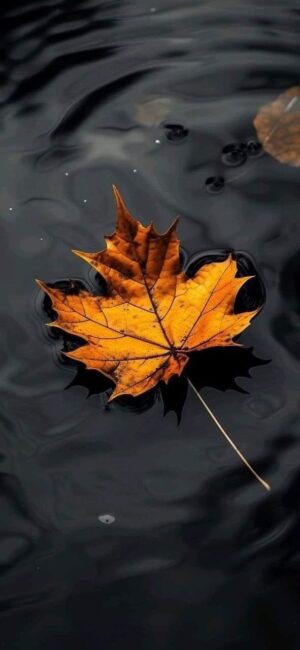 4K Mobile Wallpapers Free Download | 6190 | for Android & iPhone FF627