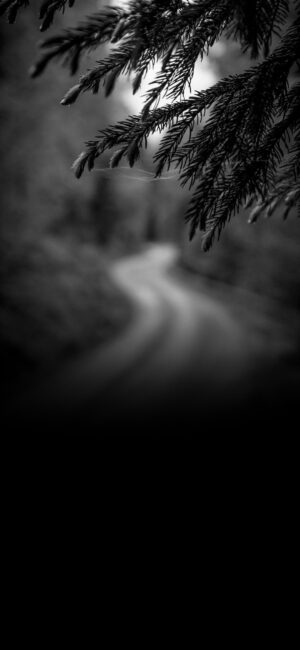 4K Mobile Wallpapers Free Download | 6223 | for Android & iPhone FF631